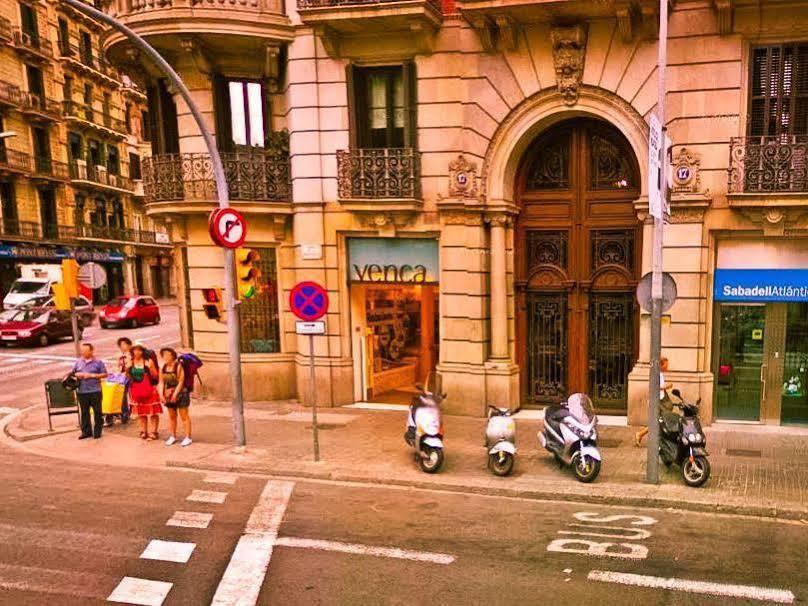 Alternative Creative Youth Hostel *