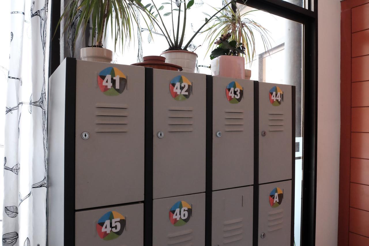 Hostel Alternative Creative Youth